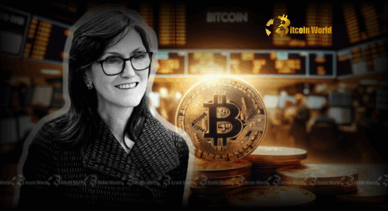 Bitcoin ETF: ARK Invest's Strategic Sale Unveils Crucial Market Insights