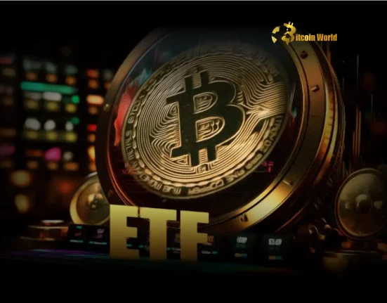 Bitcoin ETF Inflows Surge BlackRock IBIT Fuels Massive $678M Gain