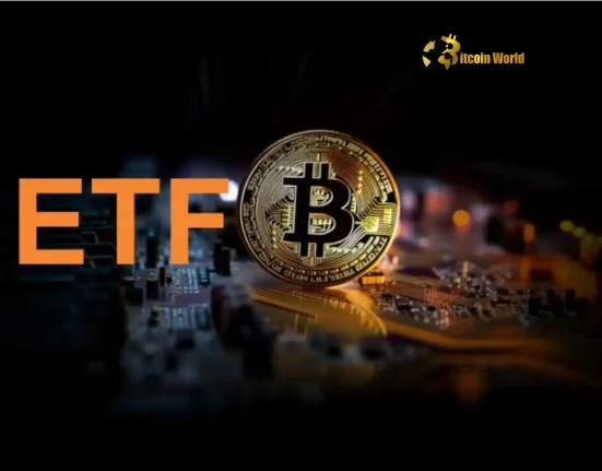 Bitcoin ETF Inflows Surge US Spot Funds See Eighth Straight Day of Gains