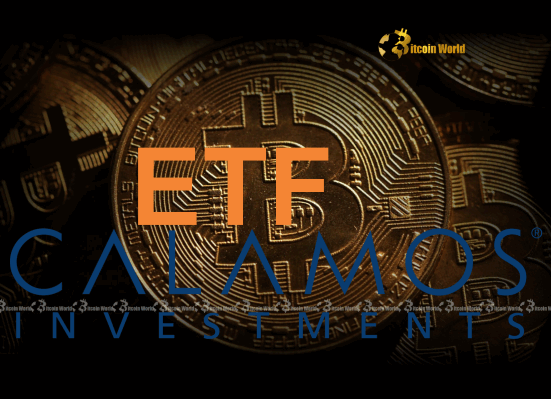 Bitcoin ETFs: Calamos Launches Revolutionary Protection Funds