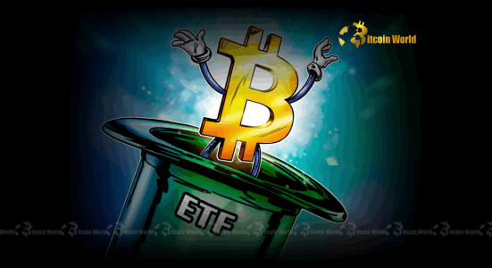 Bitcoin ETFs Soar US Spot Funds Witness Astonishing $216M Inflows