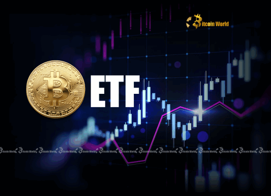 Bitcoin ETFs Unveiling Crucial Market Impact Over Treasury Holdings