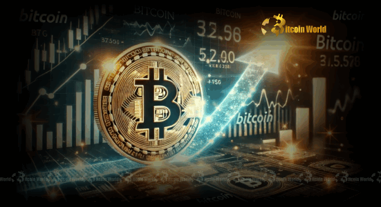 Bitcoin Holdings: Planet Ventures' Strategic Expansion with New BTC Acquisition