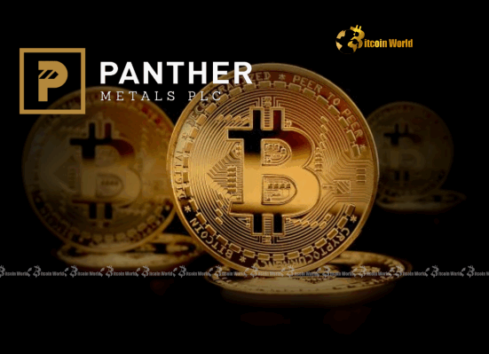 Bitcoin Investment Fuels Panther Metals’ Astounding 21% Surge with Bold Corporate Crypto Strategy