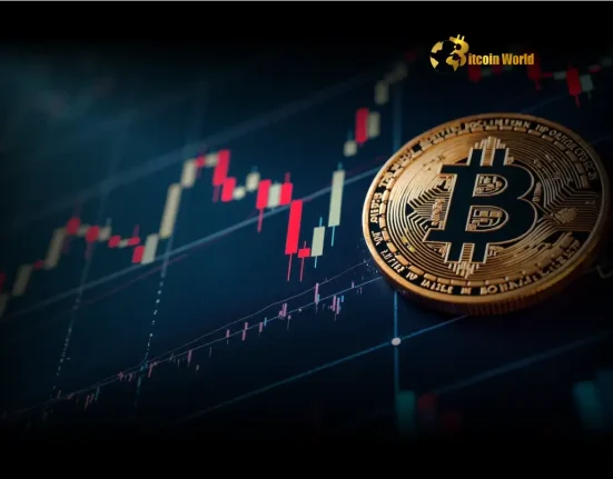 Bitcoin Market Shift CryptoQuant CEO Reveals Outdated Cycle Theories Amidst Institutional Influx