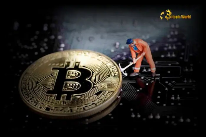 Bitcoin Mining Costs Surge to $55,950 in Q3 2024, Says CoinShares