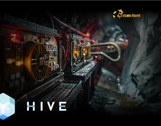 Bitcoin Mining Paraguay: HIVE Unleashes Massive Expansion Powered by Clean Energy