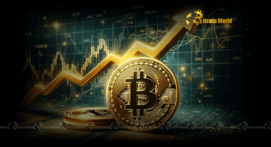 Bitcoin Price Analysis: Crucial $100K Support Unveiled by Short-Term Holders