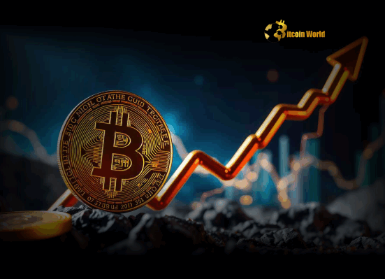 Bitcoin Price Analysis Holders Defy Gravity, Signaling Potent Q3 Breakout