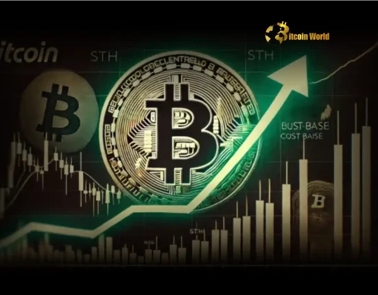 Bitcoin Price Crucial $100K Battle Looms as Long-Term Holders Hold Massive Gains