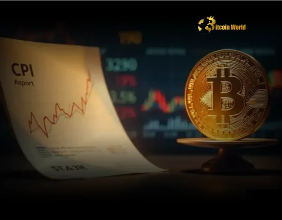 Bitcoin Price Crucial Week Ahead Amid CPI and Market Signals