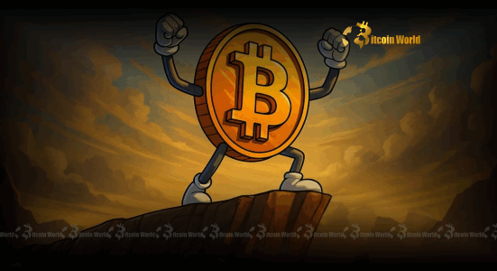 Bitcoin Price Dominance: Decoding the Altcoin Lag and Future Crypto Market Rally