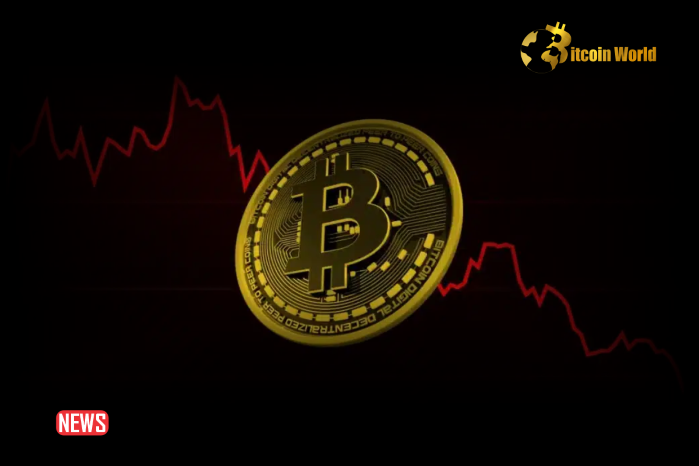 Bitcoin Price Loses Crucial Support, Poised For Return To $54,000 – Analyst