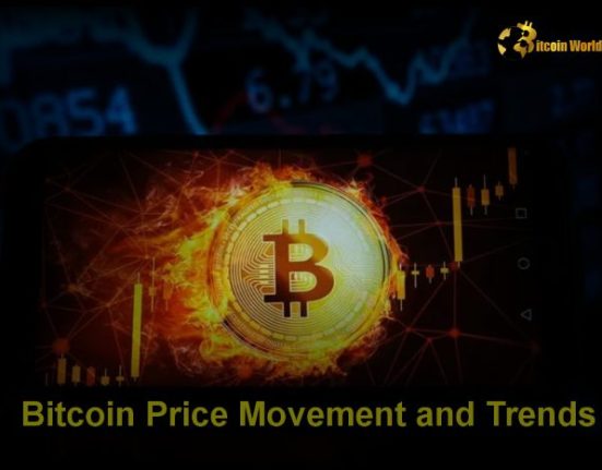 Bitcoin Price Movement and Trends: Why Bitcoin Goes Up and Down