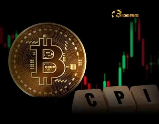 Bitcoin Price: Navigating the Crucial Dip Ahead of CPI