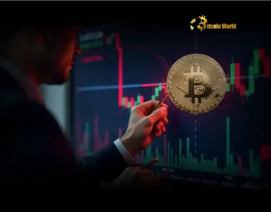 Bitcoin Price Potential Analyst Sees Crucial Push Towards New High