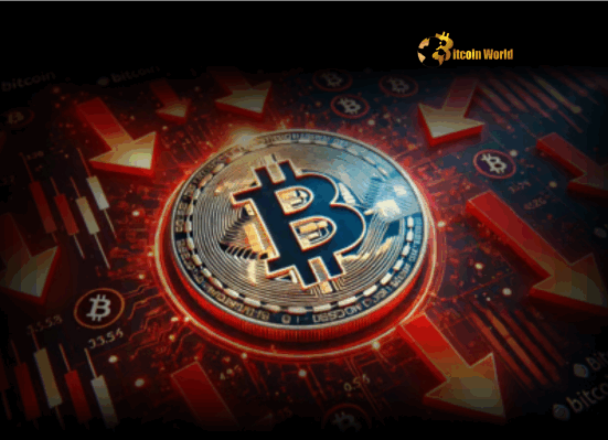 Bitcoin Price Shows Remarkable Resilience After Middle East Tensions Dip