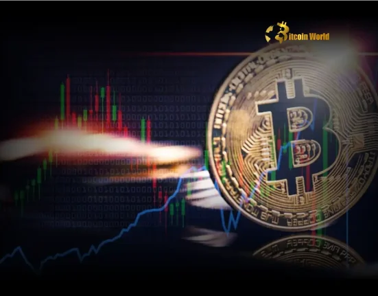 Bitcoin Price: Unveiling the Crucial Opportunity in the Crypto Market