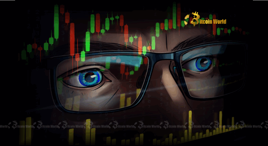 Bitcoin RHODL Ratio Unlocking the Next Market Phase