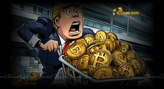 Bitcoin Sales: Bhutan's Astounding Strategy Outshines Germany's Performance