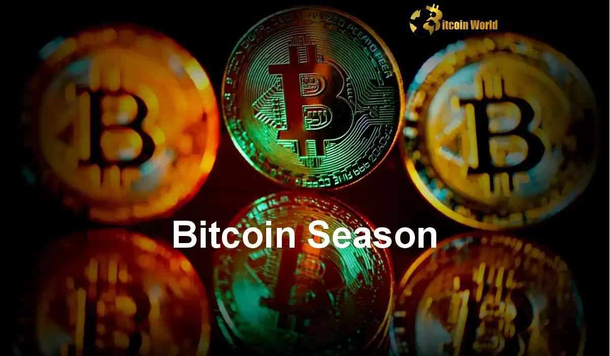 Bitcoin Season Understanding Why the Crypto Market Favors Bitcoin Now