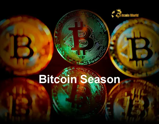 Bitcoin Season Understanding Why the Crypto Market Favors Bitcoin Now