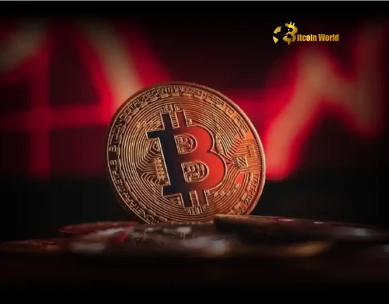 Bitcoin Sentora Data Reveals Surprising Lack of Selling Pressure