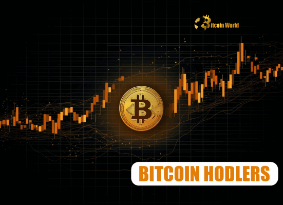 Bitcoin Short-Term Holders: Astonishing Profitability Limits Downside