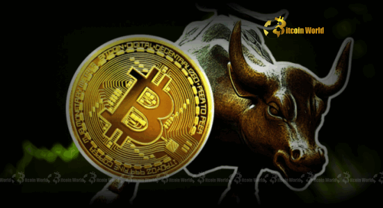 Bitcoin Soars Past $118,000 A Monumental Ascent in the Crypto Market