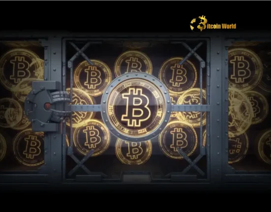 Bitcoin Strategic Reserves: CZ Reveals Which Countries Are Leading the Way