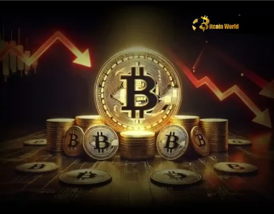 Bitcoin Supply on Exchanges Hits Astonishing 7-Year Low