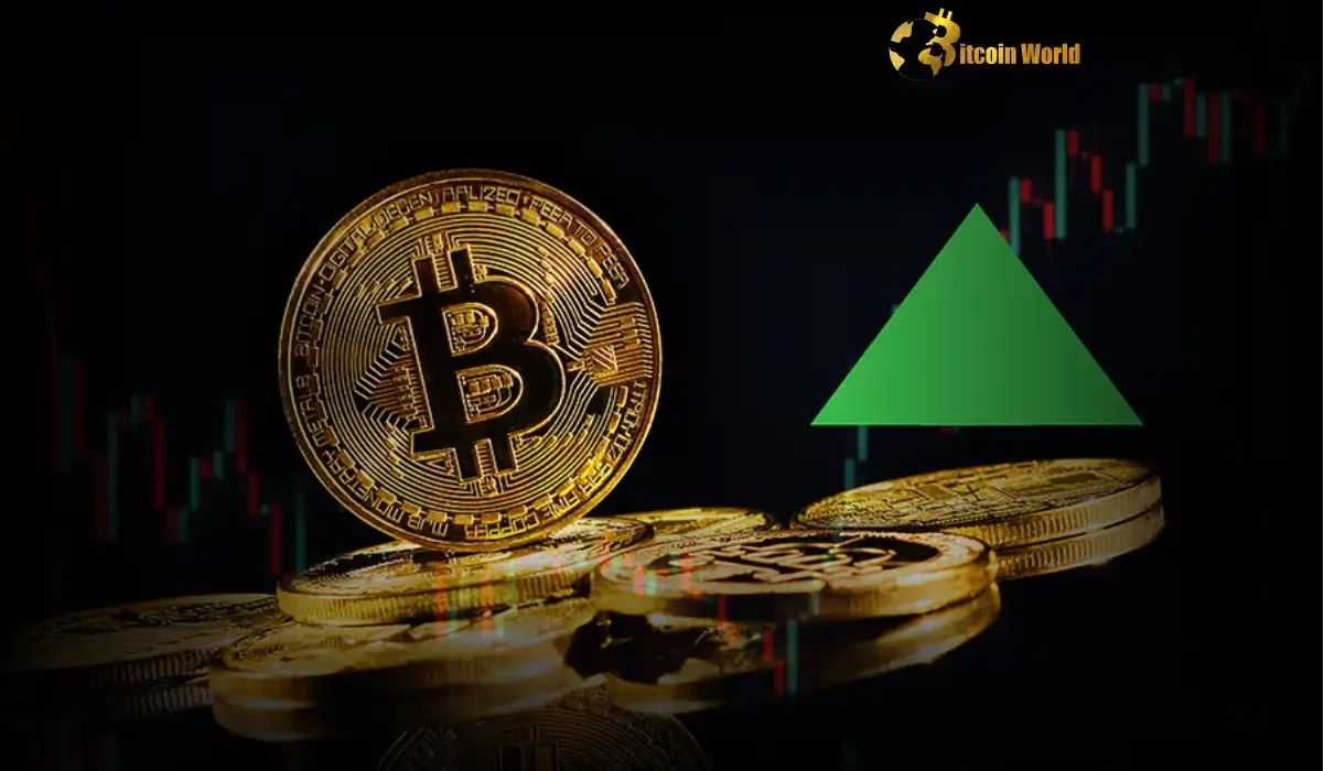 Bitcoin Surge: Public Companies Driving Massive Exchange Outflows