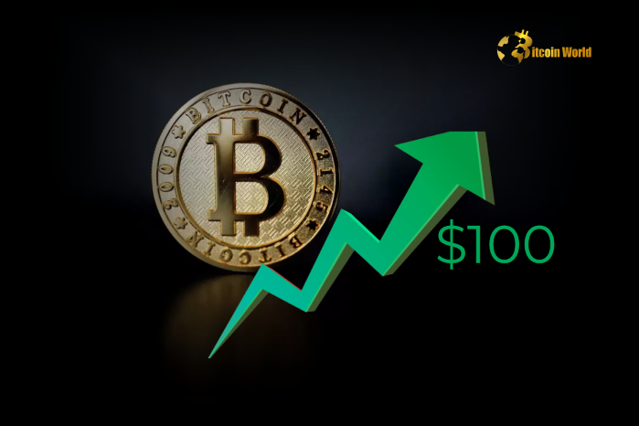 Bitcoin Surges Past $100K: Long-Term Holders Take Profits as Rally Continues