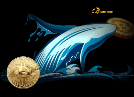 Bitcoin Transfer: Mysterious $267 Million Whale Move Unveiled