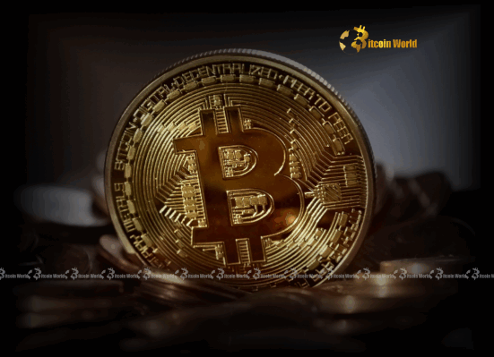 Bitcoin Treasury Capital Unveils Bold $7M BTC Purchase for Long-Term Strategy