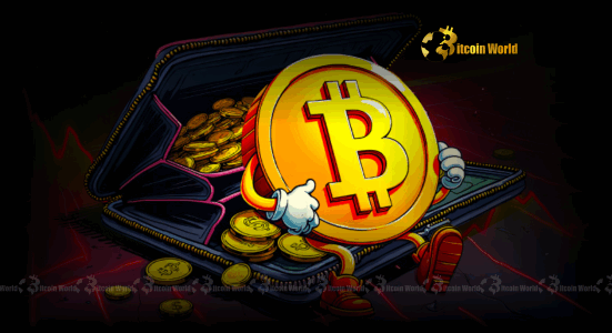 Bitcoin: Unwavering Confidence as Long-Term Holders Command 74% of Circulating Supply