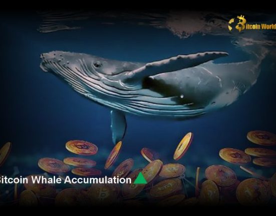 Bitcoin Whale Accumulation Surpasses $2.24B in 72 Hours 🚀