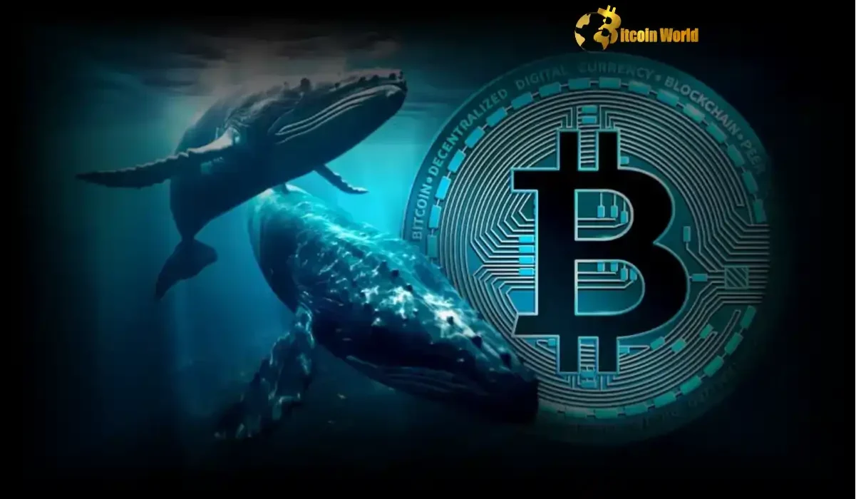 Bitcoin Whale Transfer: Massive $279M Shifted to Coinbase Institutional