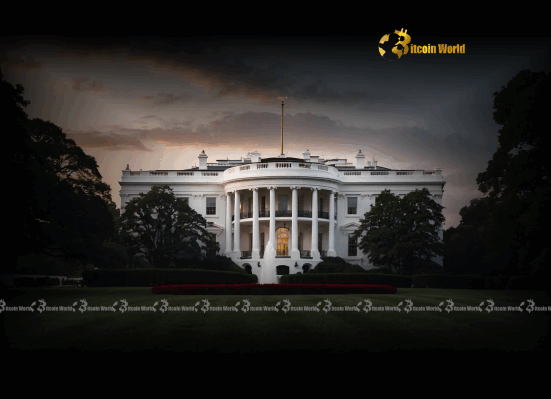 Bitcoin: White House's Monumental Accumulation Plan Revealed