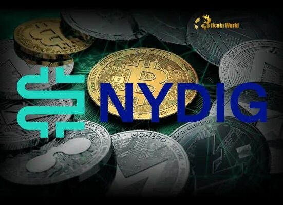 Bitcoin vs Altcoins: NYDIG Executive Issues Crucial Warning on Corporate Crypto Holdings