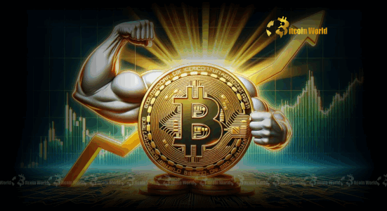 Bitcoin's Alarming Shift: Retail Holdings Plummet on Centralized Exchanges