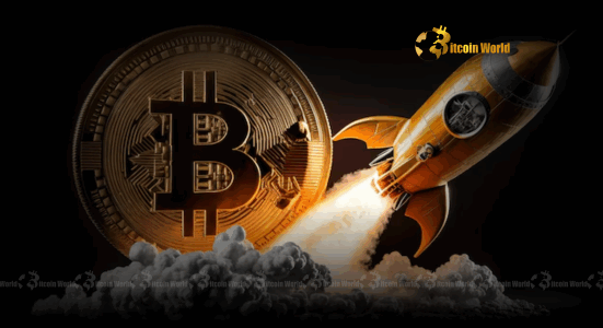 Bitcoin's Ascendant Trend: CryptoQuant Analysis Points to a Powerful BTC Price Outlook