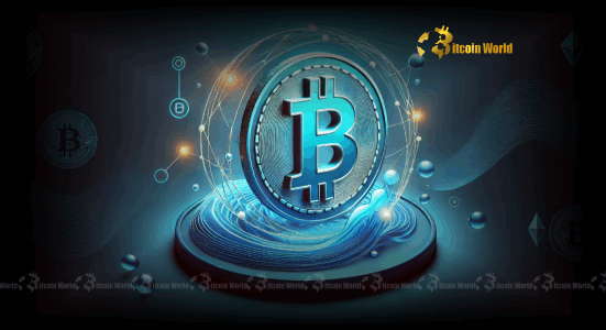 Bitcoin’s Astonishing Anomaly Why Public Search Interest Remains Low Despite Record Highs