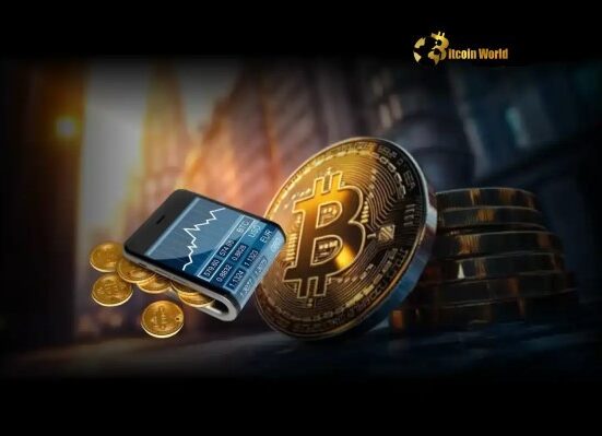 Bitcoin’s Astonishing Demand Analyst Reveals Crucial Exchange Ratio Insights