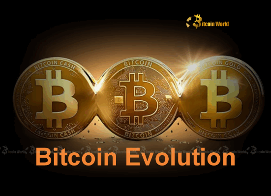 Bitcoin’s Astonishing Evolution A New Trading Pattern Emerges