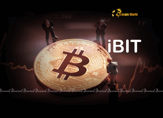 Bitcoin's Astonishing Evolution: IBIT Volatility Now Mirrors S&P 500