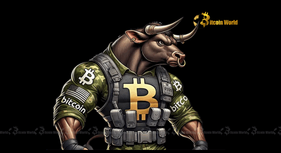 Bitcoin’s Bold Ascent Why the Derivatives Market Signals Caution cartoon