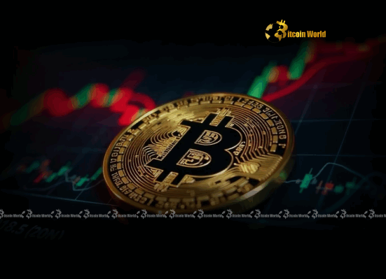 Bitcoin's Explosive Potential: LTH Accumulation Signals Unprecedented Gains