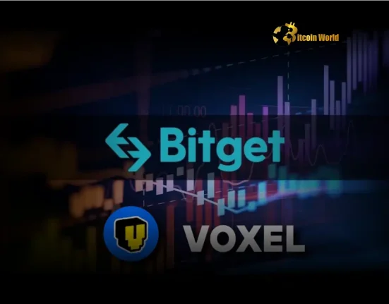 Bitget Rewards Users with Compensation Following VOXEL Trading Issue A Fair Resolution