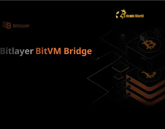 Bitlayer Unleashes Powerful Monad Integration with BitVM Bridge